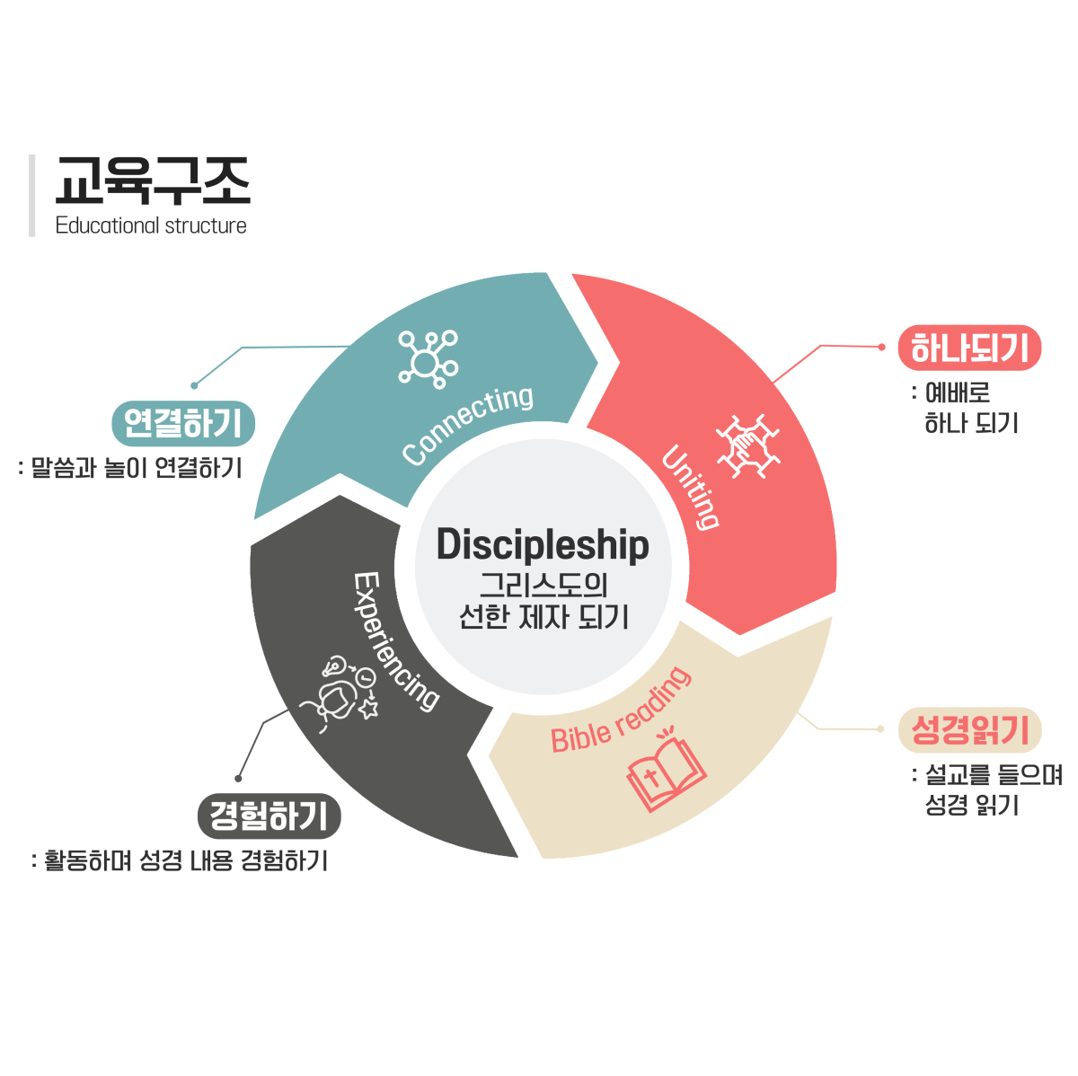 교육 구조