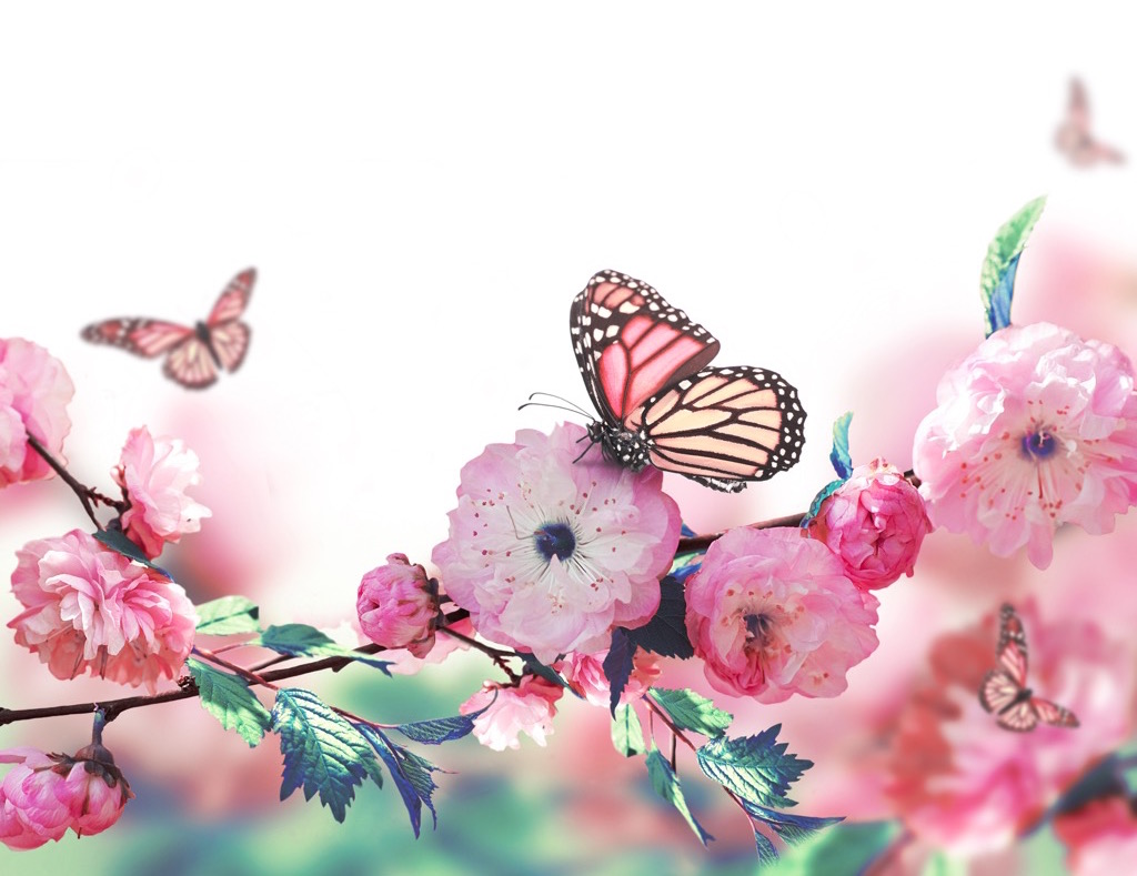 spring